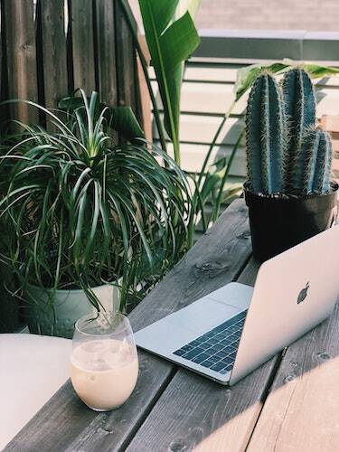 Laptop among cacti