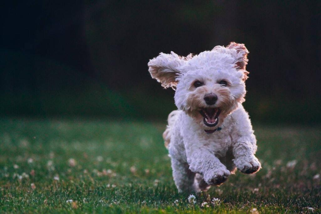 How to Write Faster: 3 Game-Changing Strategies For Finishing Your Book