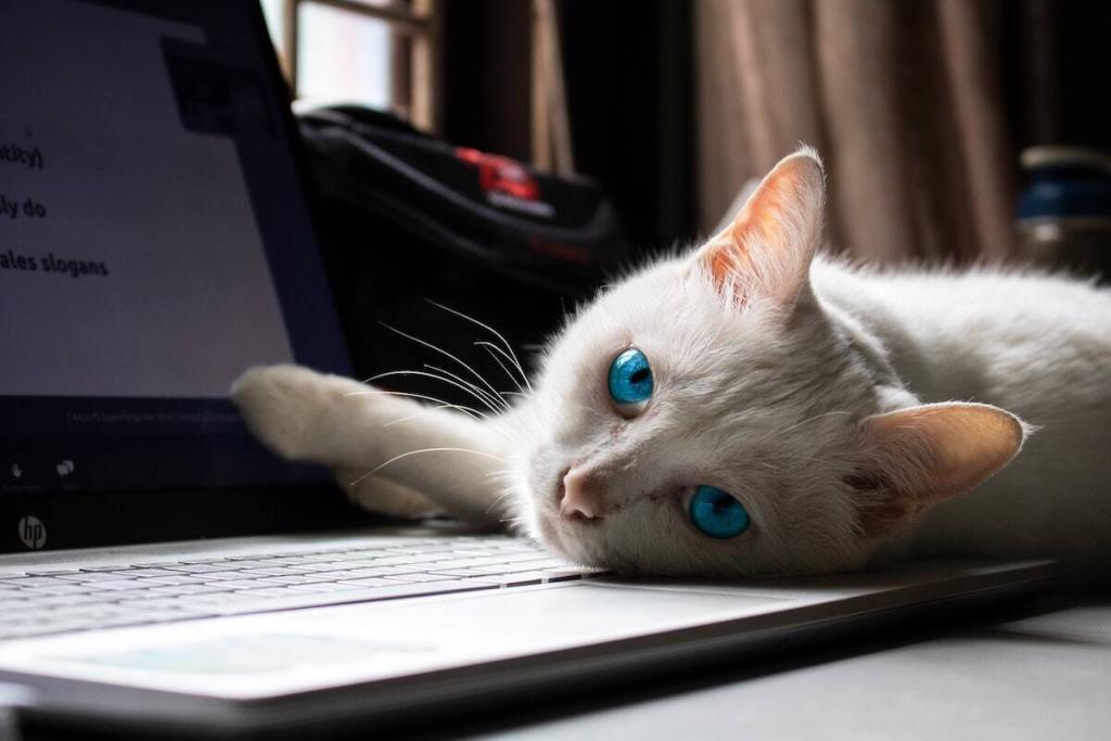 Freelance Writing: A Three-Year Plan for Growth