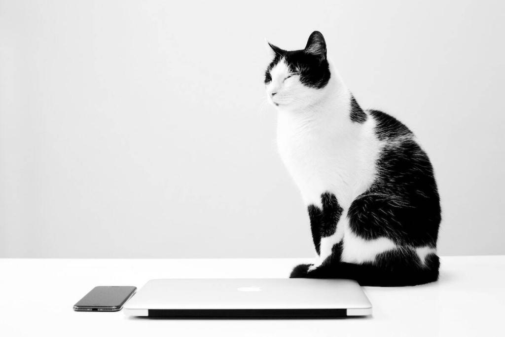 Freelance Writing: A Three-Year Plan for Growth