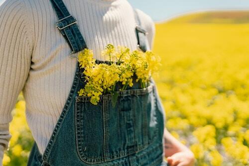 Spring is here!