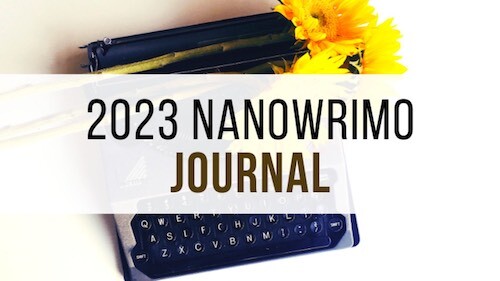 NaNoWriMo journal
