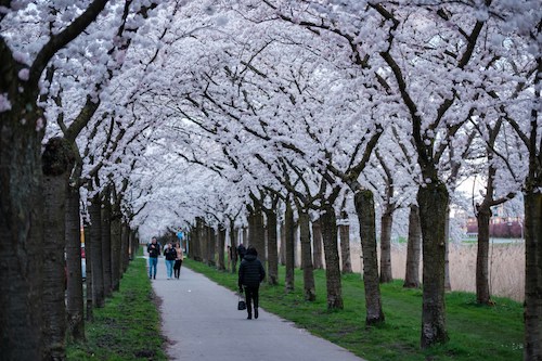 Springtime