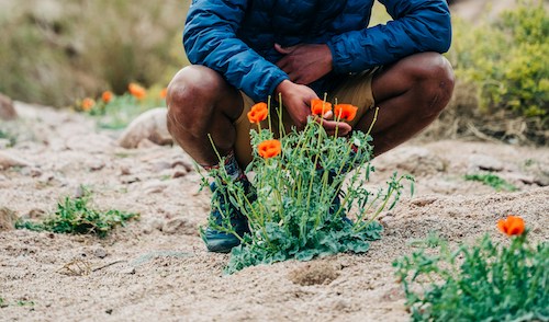 Planting seeds